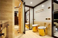 tecma-options-custom-color-finition-wc-couleur-mate image 5